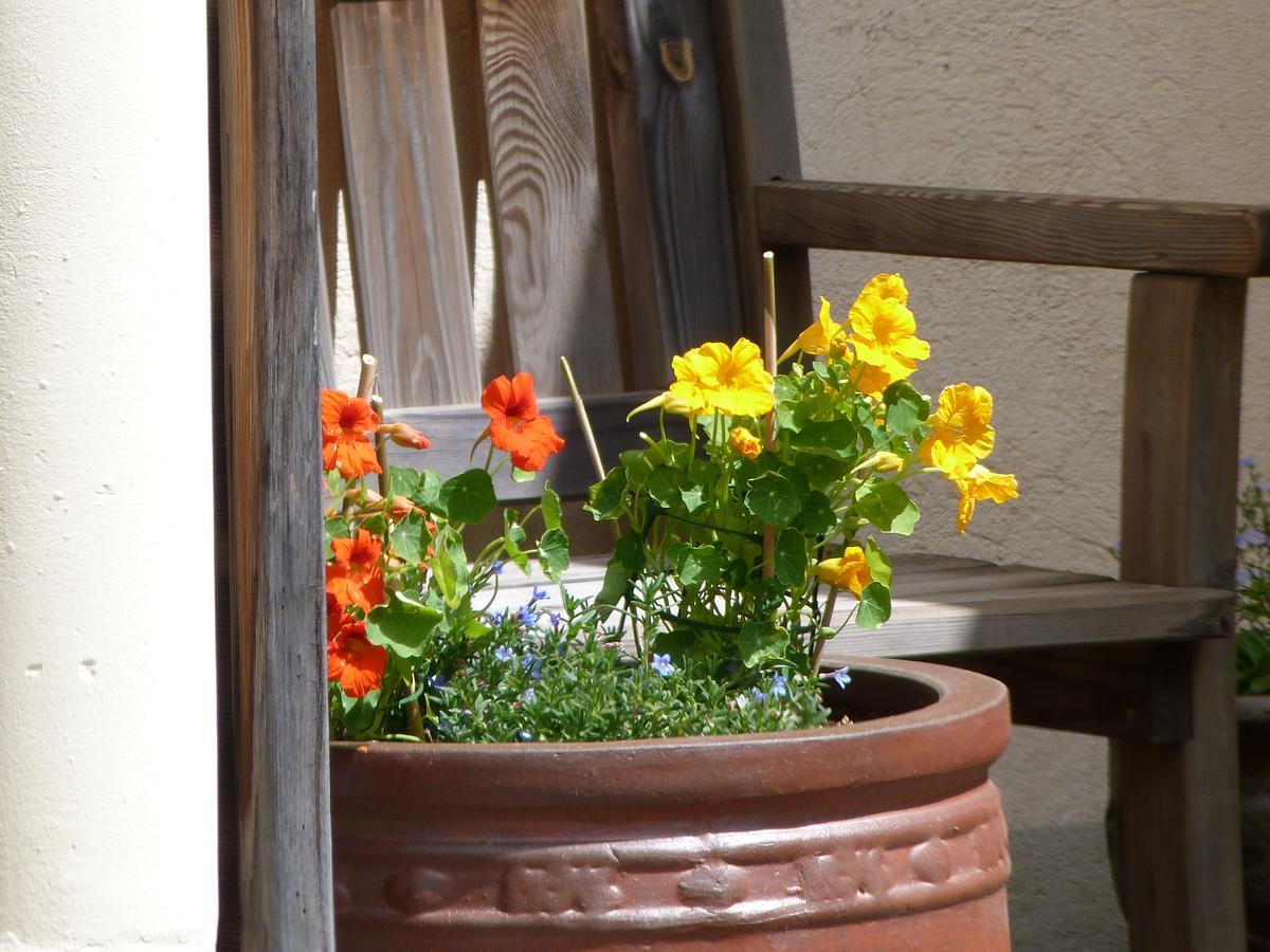 B & B Au Dela Du TempsSaint-Mamet エクステリア 写真